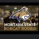 Montana State University Rodeo