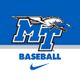 MT Baseball