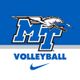 MT Volleyball