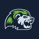 Niagara River Lions Basketball