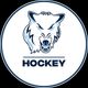 Northwood University Hockey