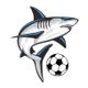 NSU Men's Soccer