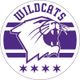 Northwestern Baseball