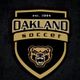 Oakland Women's Soccer