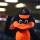 OrioleBird
