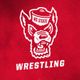 NC State Wrestling 🤼‍♂️