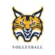 Quinnipiac Volleyball