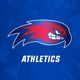 UMassLowellAthletics