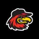 RocRedWings