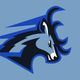 St. Andrew's School Athletics