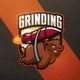 Grinding🐻