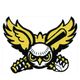 Statesville Owls