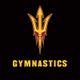 Arizona State Gymnastics