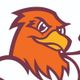 Susquehanna University