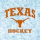 Texas Ice Hockey