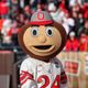 Brutus Buckeye