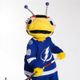 ThunderBug