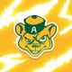 Golden Bears Football