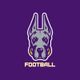 UAlbany Football