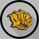 UAPB Women's Basketball 🦁⛹🏽‍♀️
