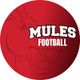 UCMFootballTeam
