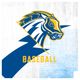 New Haven Baseball
