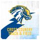 New Haven XC track & Field