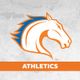 UTA Athletics
