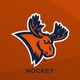 Utica Women’s Ice Hockey
