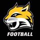 WayneStFootball