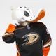 Wild Wing