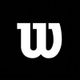 WilsonBasketball
