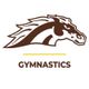 Western Michigan Gymnastics
