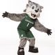 Baxter the Bearcat