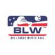 Big League Wiffle Ball