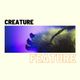 Creature Feature / Fridays at 8pm