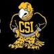 CSI Baseball