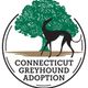 Connecticut Greyhound Adoption