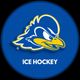 Delaware Ice Hockey
