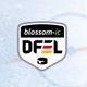 Deutsche Frauen Eishockey Liga
