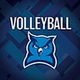 Harford Women's Volleyball