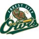 Forest City Owls Baseball