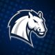 Hillsdale Chargers