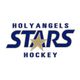 Academy of Holy Angels Boys Hockey