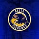 Delta Ice Hawks