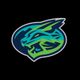 Lynchburg Hillcats