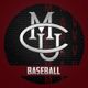 mesa.baseball