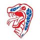 Florida Southern Ice Hockey
