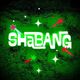 (NOT) Shabang Music, Arts, & Camping Festival