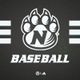 NWMSU Baseball